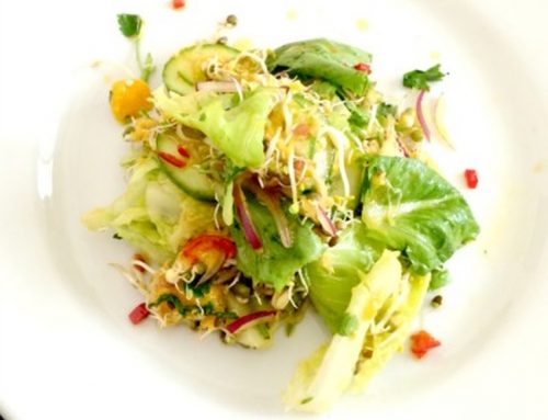 Fast Food Friday: Sprouty Salad w Mango & Chilli